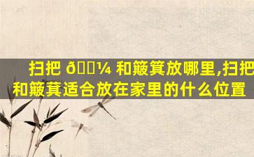 扫把 🌼 和簸箕放哪里,扫把和簸萁适合放在家里的什么位置